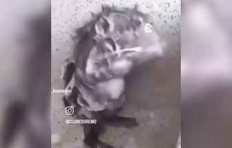 .