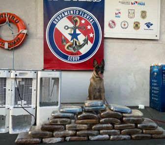 Imagem - Cão farejador encontra 34kg de drogas escondidos em aparelhos de ar-condicionado em Óbidos