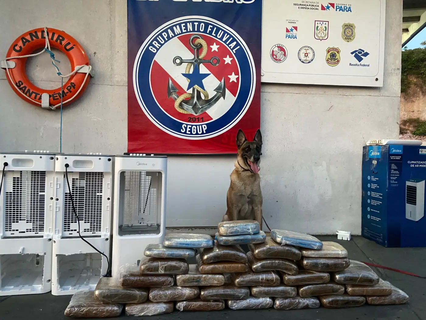 Cão farejador encontra 34kg de drogas escondidos em aparelhos de ar-condicionado em Óbidos