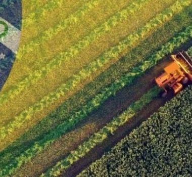 Imagem - Brasil se aproxima dos EUA e disputa o topo do agronegócio mundial