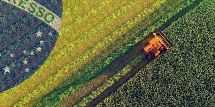 Brasil se aproxima dos EUA e disputa o topo do agronegócio mundial