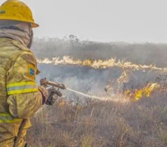 Imagem - Governo investiga se há organização por trás dos incêndios no Amazonas