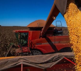 Imagem - Brasil projeta colher 354,5 milhões de toneladas de grãos em 2026