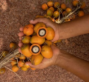 Imagem - Natura divulga relatório inédito sobre impactos financeiros das mudanças climáticas