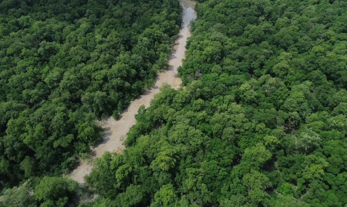 Amazônia registrou em 2025 o menor patamar de desmatamento dos últimos 41 anos, acumulando uma área devastada de 693 mil hectares. 