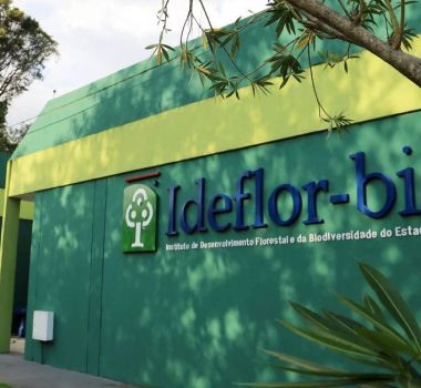 Imagem - Farra com dinheiro público: fraudes no Ideflor-Bio desviaram mais de R$ 14 milhões