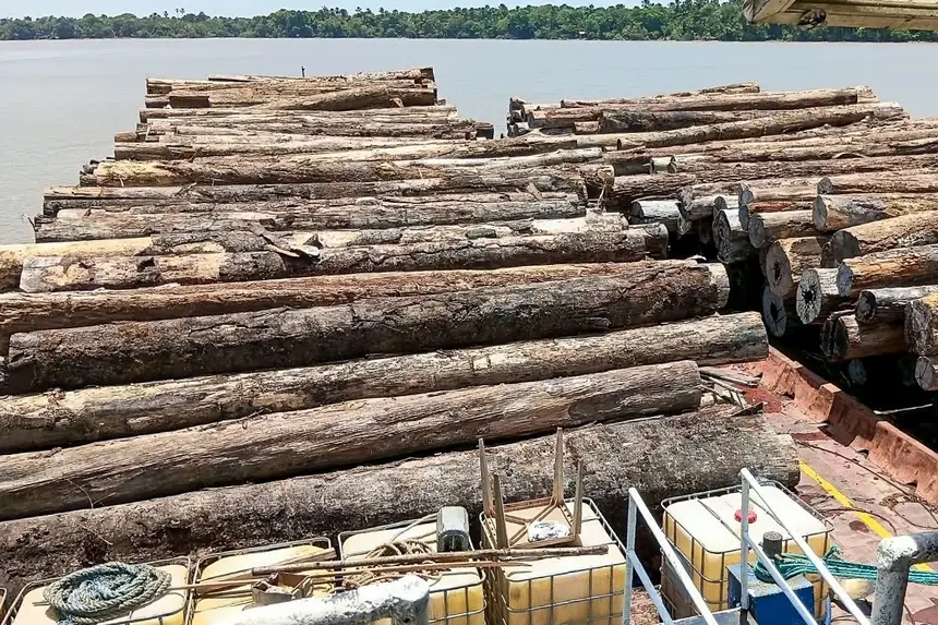 Imagem - Apreensão de madeira ilegal mobiliza equipes da Base Fluvial do Baixo Tocantins