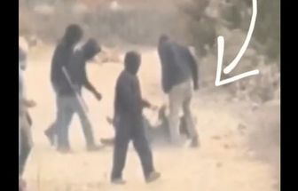Fotojornalista do Washington Post é agredida por colonos israelenses na Cisjordânia