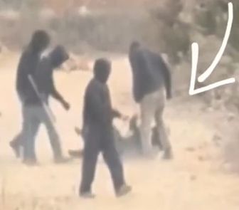 Imagem - Fotojornalista do Washington Post é agredida por colonos israelenses na Cisjordânia