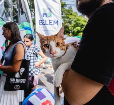 Imagem - Belém faz vacinação emergencial de cães e gatos após morcego testar positivo para raiva