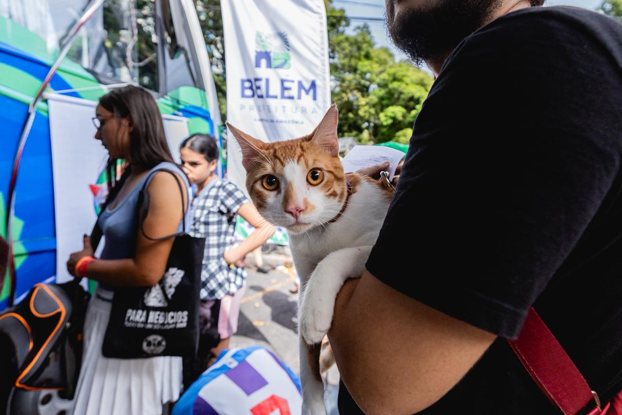 Ação ocorre neste sábado (17), das 8h às 16h, no bairro do Jurunas. Em 2026, quase 13 mil animais já foram vacinados na capital, que intensificou a vigilância após a confirmação do vírus.
