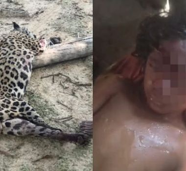 Imagem - Indígenas matam onça que feriu criança de 8 anos em Jacareacanga, no Pará