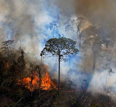 Imagem - Governo federal envia reforço aéreo para combater incêndios no Amazonas