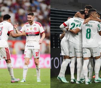 Imagem - Flamengo tem 69% de chances de título no Brasileirão contra 31% do Palmeiras