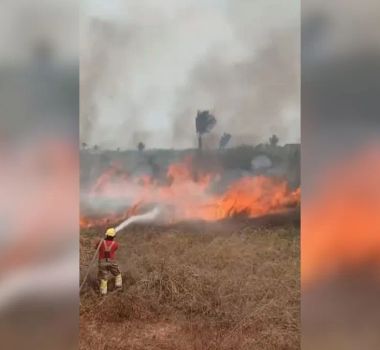 Imagem - Céu encoberto, multas milionárias e prisões: o cerco aperta contra crimes ambientais no Amazonas