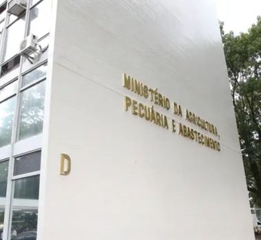 Imagem - Ministério da Agricultura confirma foco da doença de Newcastle em granja em Santa Catarina