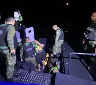 Imagem - Cão farejador intercepta cargueiro com mais de 100 kg de drogas rumo ao oeste paraense
