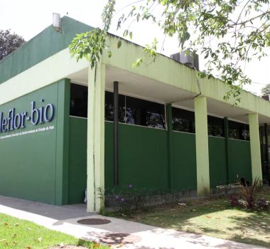 Imagem - MPPA denuncia 19 pessoas por esquema em contratos do Ideflor-Bio com prejuízo de R$ 14,3 milhões
