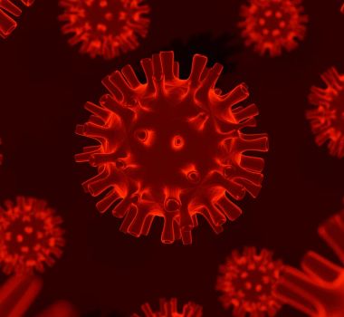 Imagem - França confirma 1º caso mundial de infecção pelo vírus Shamonda em humano