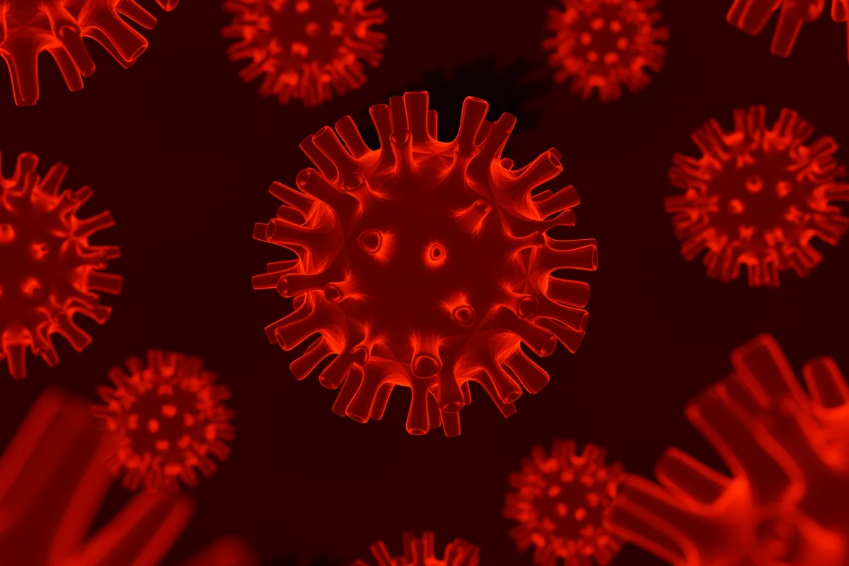 França confirma 1º caso mundial de infecção pelo vírus Shamonda em humano