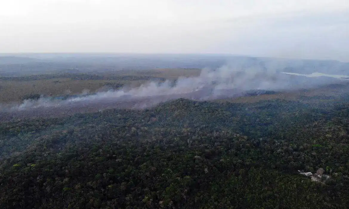 Imagem - Governo mobiliza 522 brigadistas e 13 aeronaves para combater incêndios no Pará
