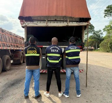 Imagem - Sefa apreende tubos de cobre e 13 toneladas de sacolas plásticas irregulares no interior do Pará