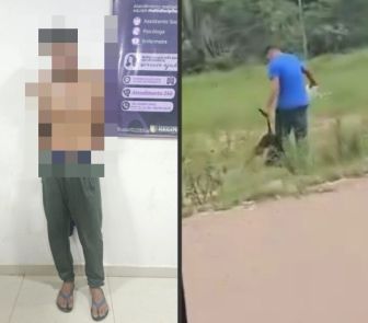 Imagem - Homem é preso por matar cachorro a pauladas em Parauapebas