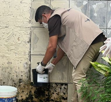 Imagem - Belém combate avanço da dengue em meio a recordes de calor provocado pelo El Niño