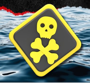 Imagem - Conheça o animal mais mortal do oceano, cujo veneno pode matar em apenas 5 minutos