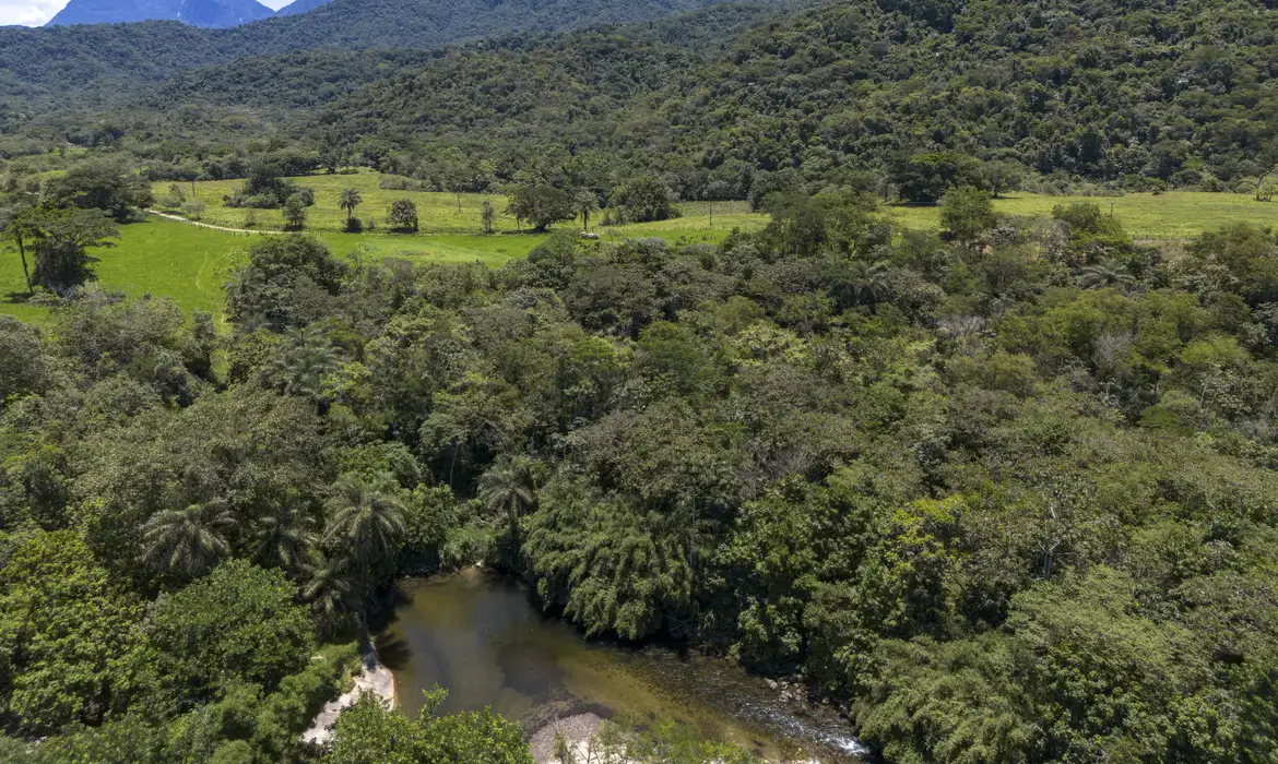 Florestas brasileiras estão mais retalhadas e sofrem com degradação, alerta MapBiomas