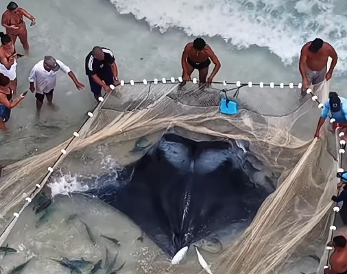 (Pescadores e banhistas participaram da ação de resgate.)