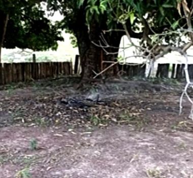 Imagem - Mulher condenada por incendiar o próprio filho por se parecer com o pai é presa após um ano foragida