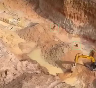 Imagem - Vídeo aéreo registra garimpeiros fugindo durante operação da PF contra garimpo ilegal em Rondônia
